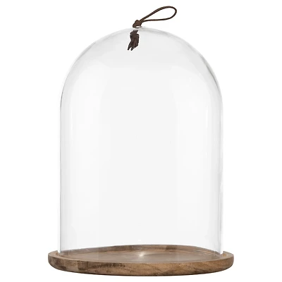Tall Glass Dome with Acadia Wood Base