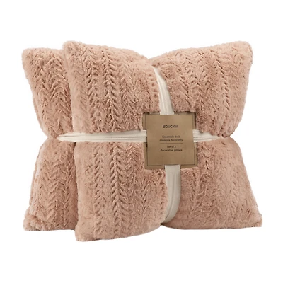 Ellyn Set of 2 Decorative Pillows