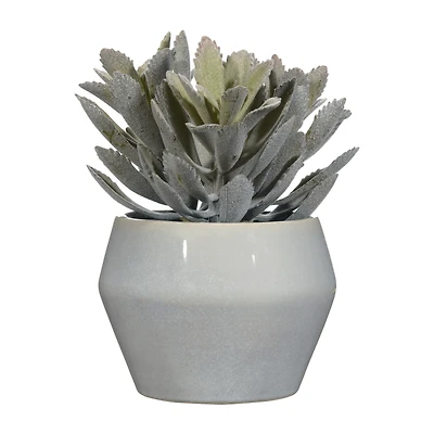 Artificial Panda Plant in Ceramic Pot