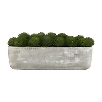 Artificial Moss in Cement Pot