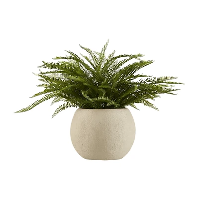 Fern in Textured Ceramic Pot