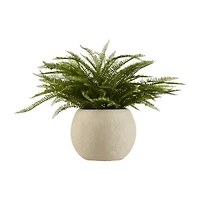 Fern in Textured Ceramic Pot
