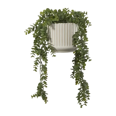 Long Eucalyptus in Ceramic Ribbed Pot