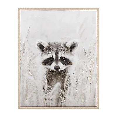 Raccoon Framed Art