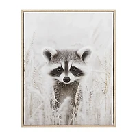 Raccoon Framed Art