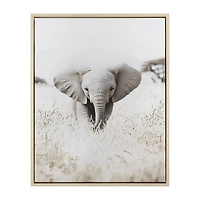 Elephant Framed Art