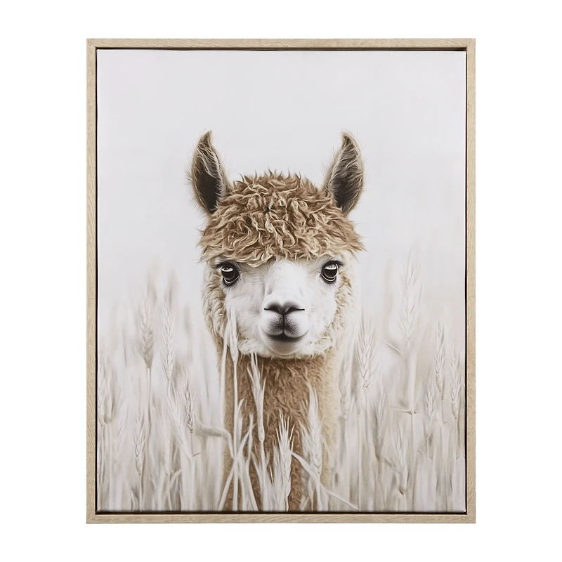 Llama Framed Art