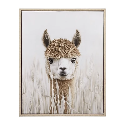 Llama Framed Art