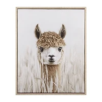 Llama Framed Art