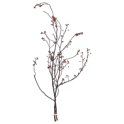 Dark Brown Stems