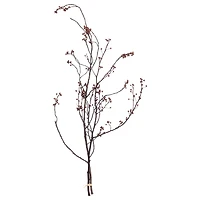 Dark Brown Stems