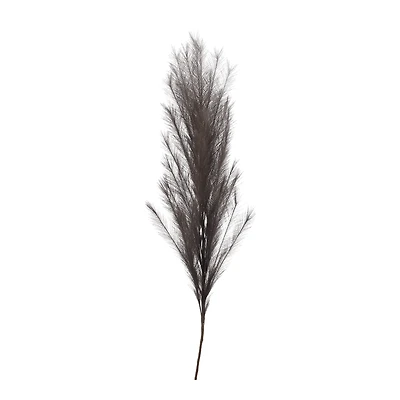 Brown Pampas Stem