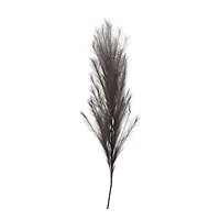 Brown Pampas Stem