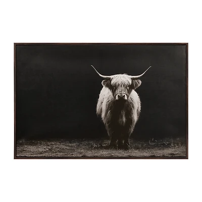 Highland Cattle Framed Printed Canvas