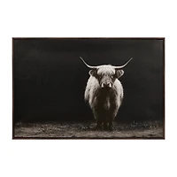 Highland Cattle Framed Printed Canvas