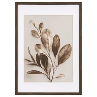 Framed Fall Leaf