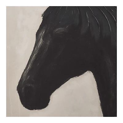 Profile of Black Horse Framed Under Glass