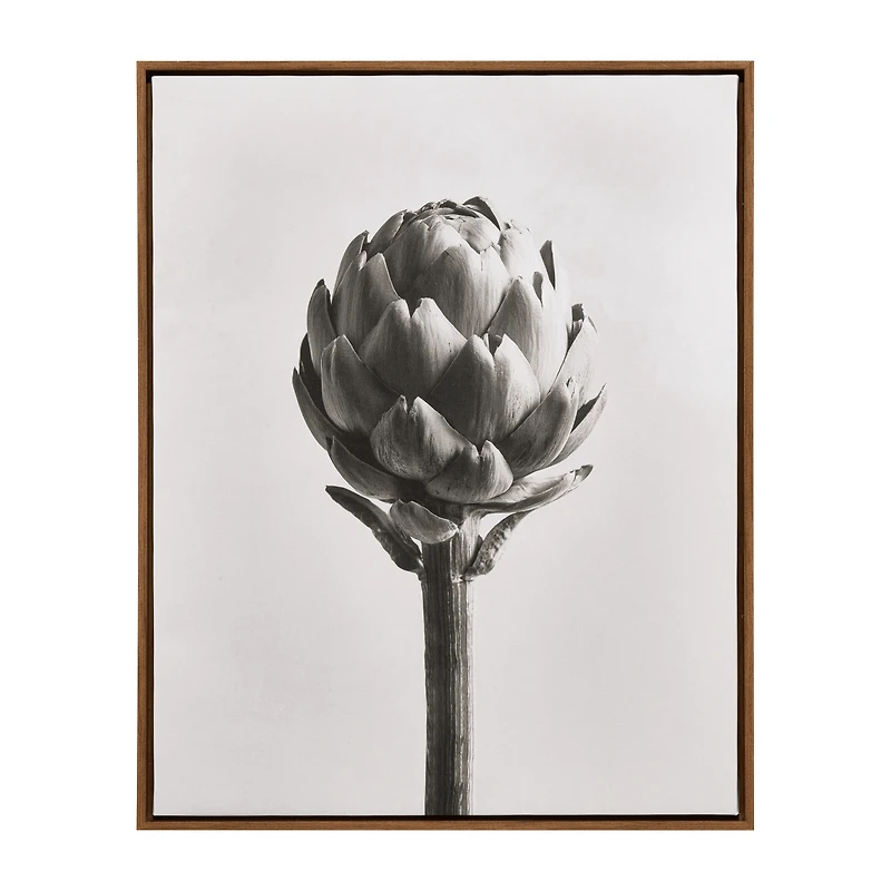 Artichoke Printed Framed