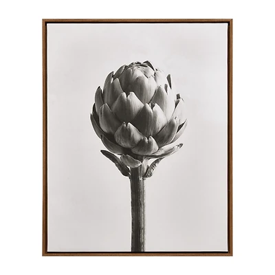 Artichoke Printed Framed