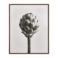 Artichoke Printed Framed