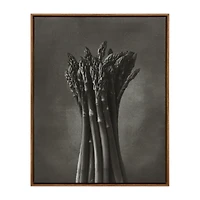 Asparagus Printed Framed Canvas