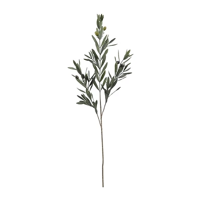 Olive Branch