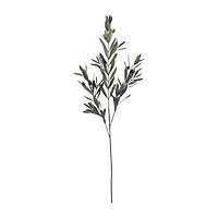 Olive Branch