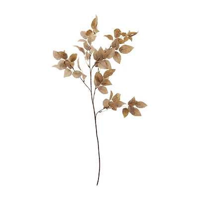Rose Leaves Stem