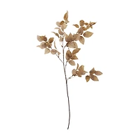 Rose Leaves Stem