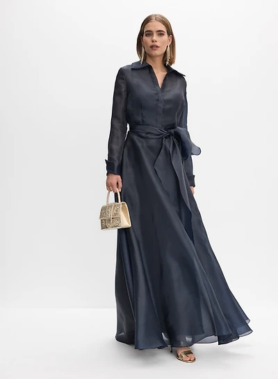 Long Sleeve Organza Dress