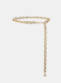 Chain Link Belt