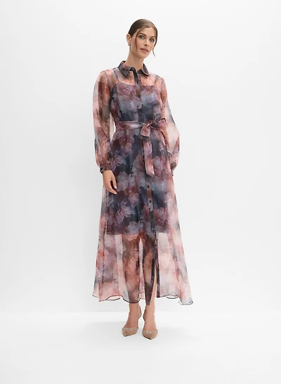 Printed Organza Dress