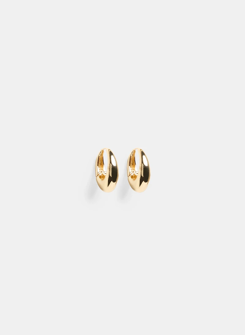 Oval Hoop Earrings