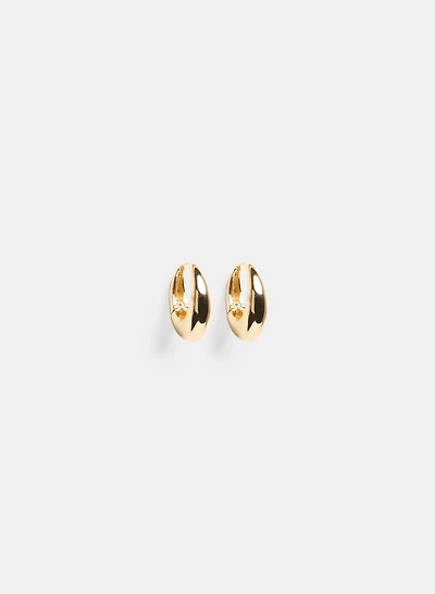 Oval Hoop Earrings