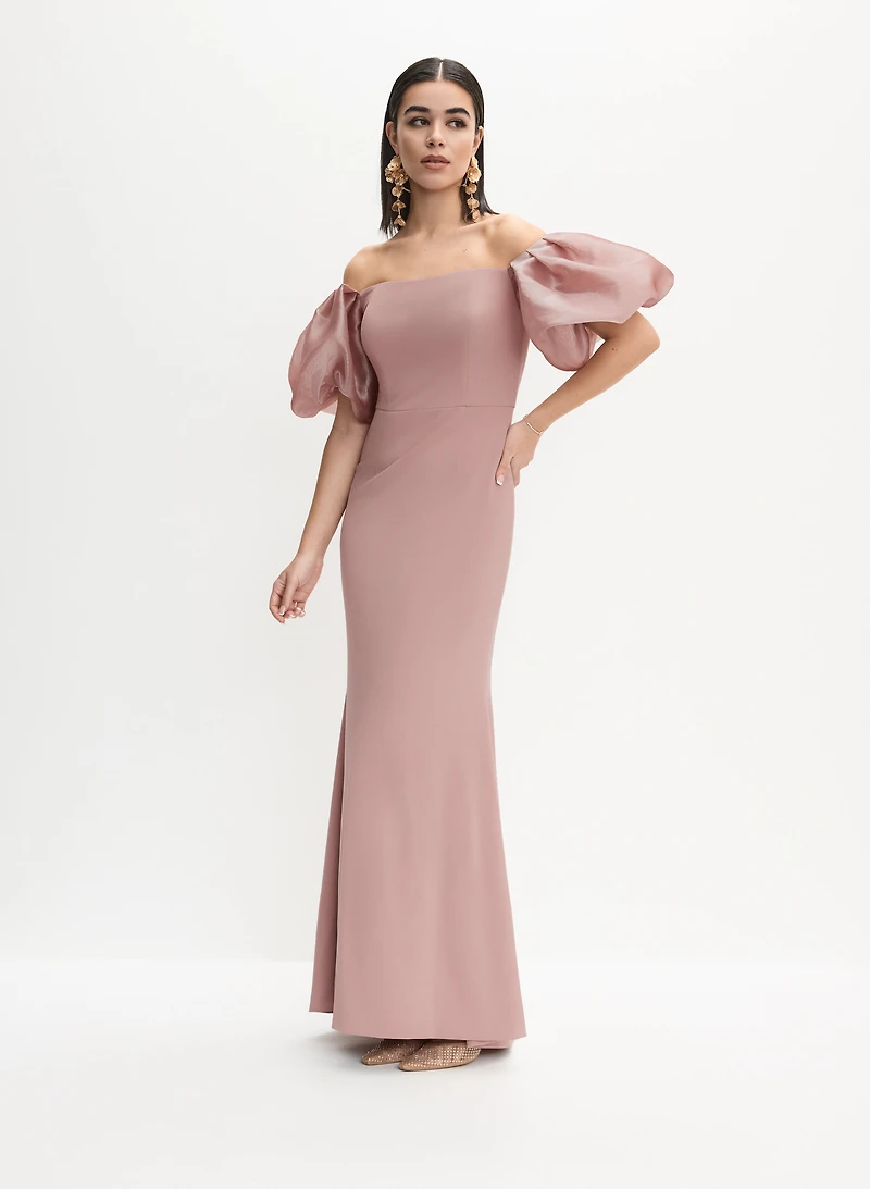 Bouffant Sleeve Dress
