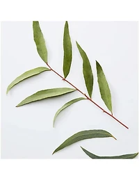 American Crew 3-en-1 Camomille Pin