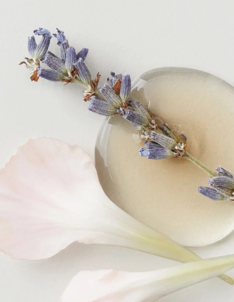 AG Colour Savour Shampoo