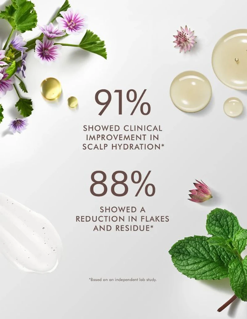 Shampooing équilibrant pour cuir chevelu Moroccanoil - 250 ml