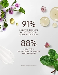 Shampooing équilibrant pour cuir chevelu Moroccanoil - 250 ml