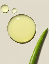 Après-shampoing quotidien Paul Mitchell Clean Beauty - 250 ml