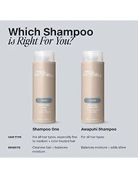 Paul Mitchell Classic Awapuhi Shampoo - 1L