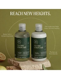 Paul Mitchell Tea Tree Lemon Sage Thickening Shampoo - 300ml