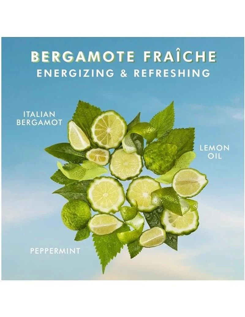 Moroccanoil Hand Cream Bergamote Fraiche