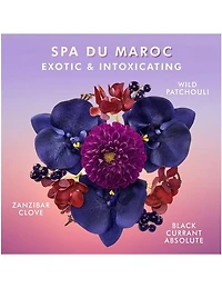 Moroccanoil Hand Cream Spa du Maroc - 100ml