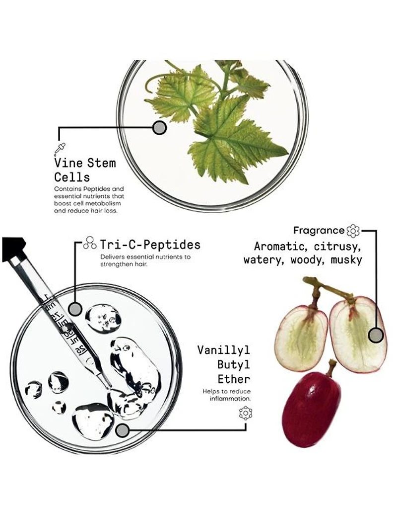 Shampooing fortifiant Morphosis - 1000 ml