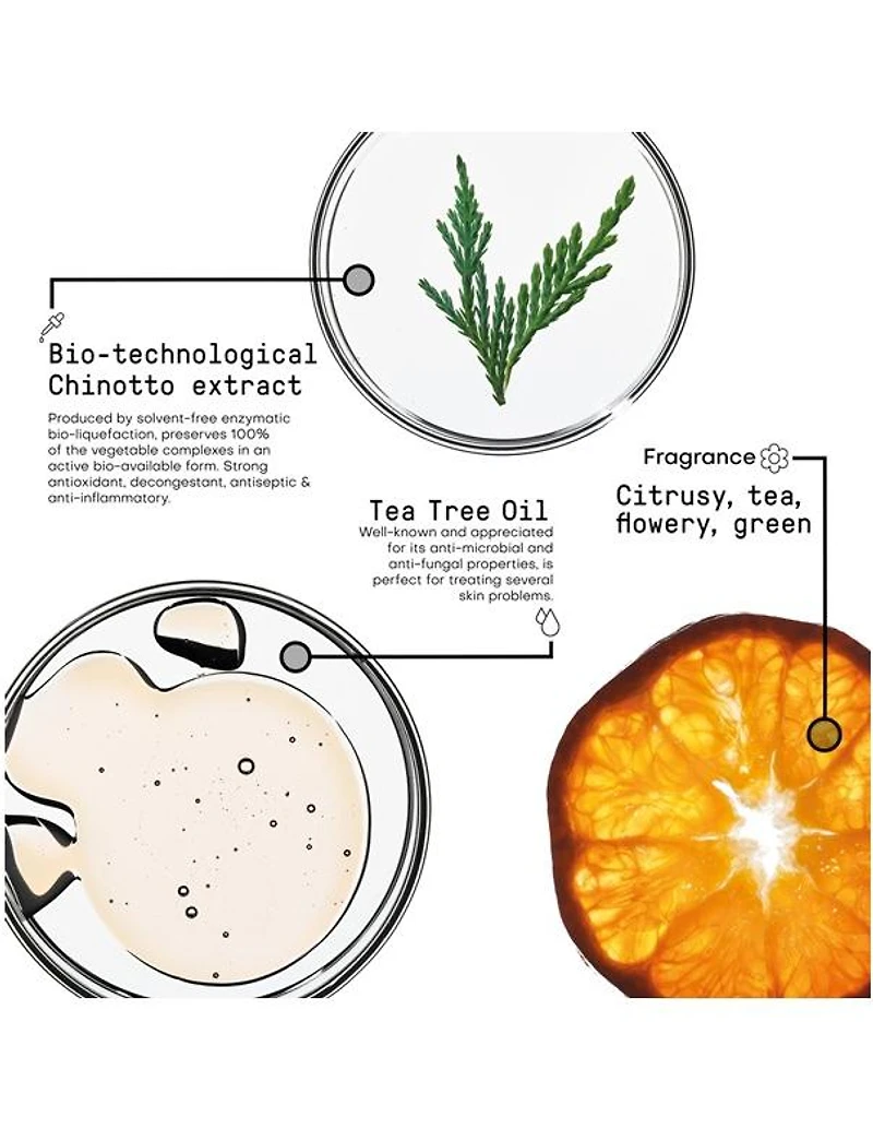 Spray Purifiant Morphosis - 100 ml