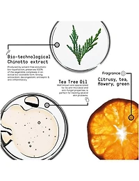 Spray Purifiant Morphosis - 100 ml