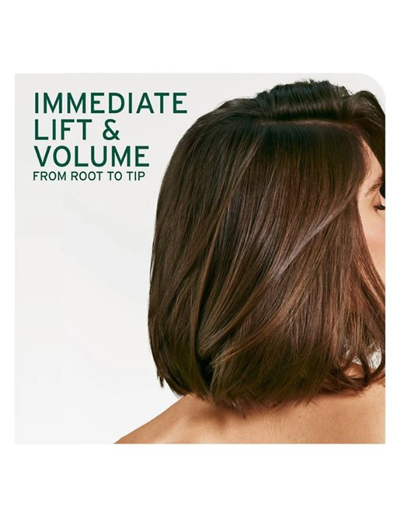 Shampooing Volume Boost Biolage - 400 ml