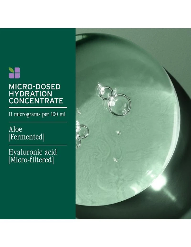 Solution démêlante Biolage HydraSource - 1 L