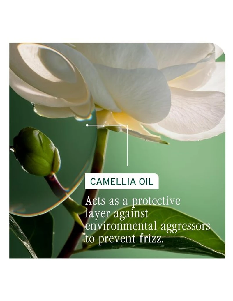 Crème sans rinçage Biolage SmoothProof - 200 ml